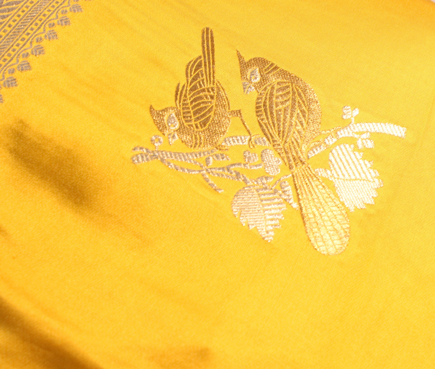 Mustard yellow Banarasi Mashru Silk Saree with Silver and gold Zari bird Motifs